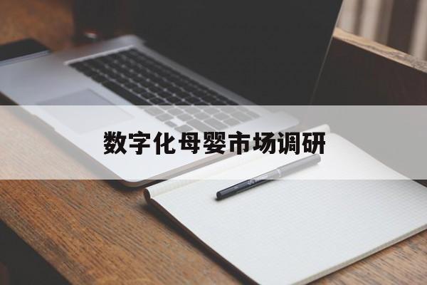 玉溪市数字化母婴市场调研(数字化母婴市场调研报告)